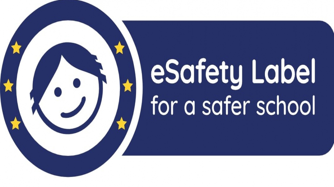 eSafety Label - Action Plan